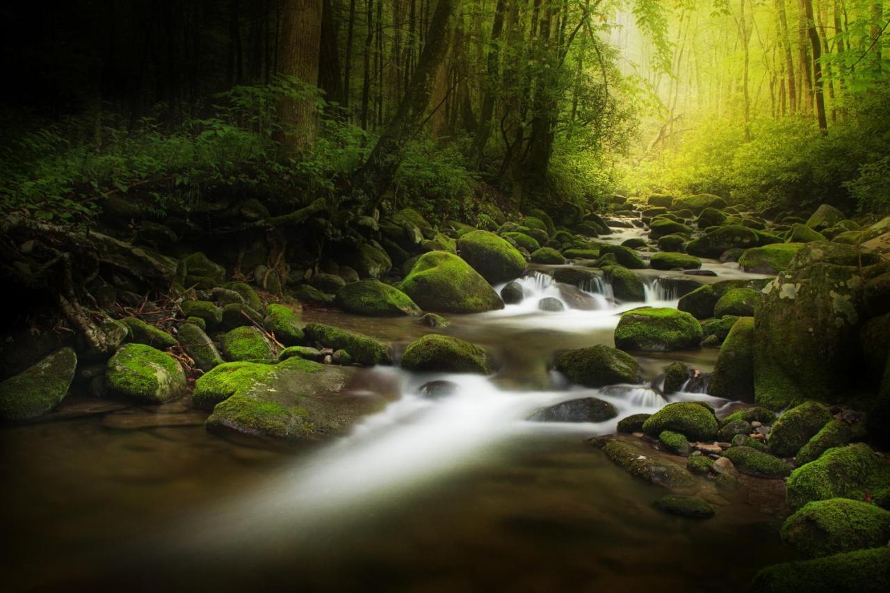 Bear Cove Falls 鸽子谷 外观 照片